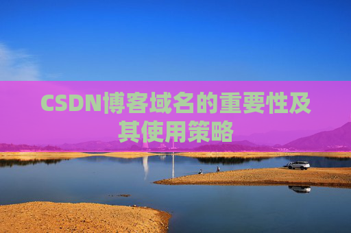 CSDN博客域名的重要性及其使用策略